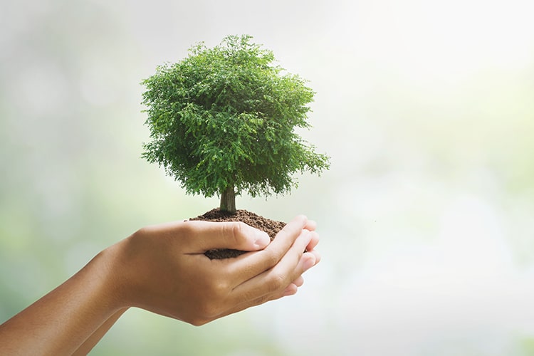 Can a Locksmith operate as a "Green", sustainable business? 1